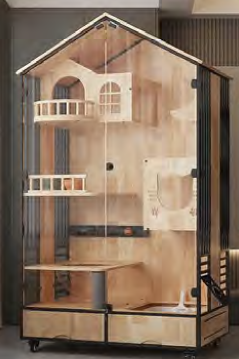 Dream in the clouds.png