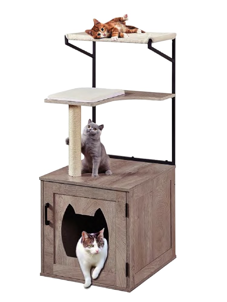 The ultimate trick to make cats sleep in cat beds