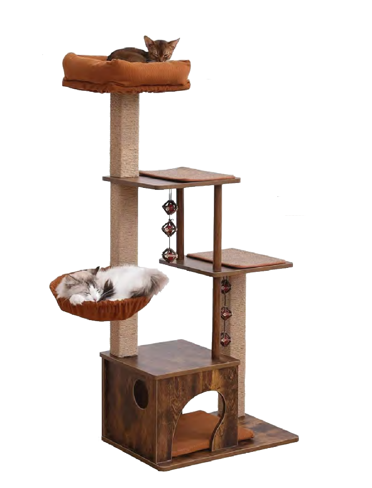 7 cost-effective cat climbing frames worth paying attention to, recommended as ideal play spaces for cats